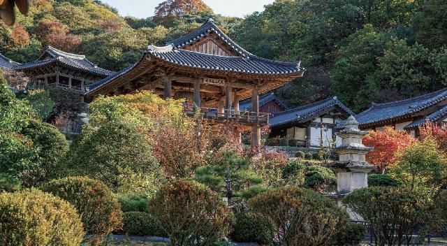Sansa, Buddhist Mountain Monasteries in Korea(2018) 이미지