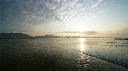 Getbol, Korean Tidal Flats (2021) 이미지