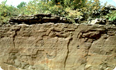 Daegokcheon Stream Petroglyphs (2010)