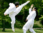 Taekkyeon, a traditional Korean martial art (2011) 이미지