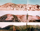 Korea Reforestation Archives: A reforestation model achieved through public-private governance 이미지